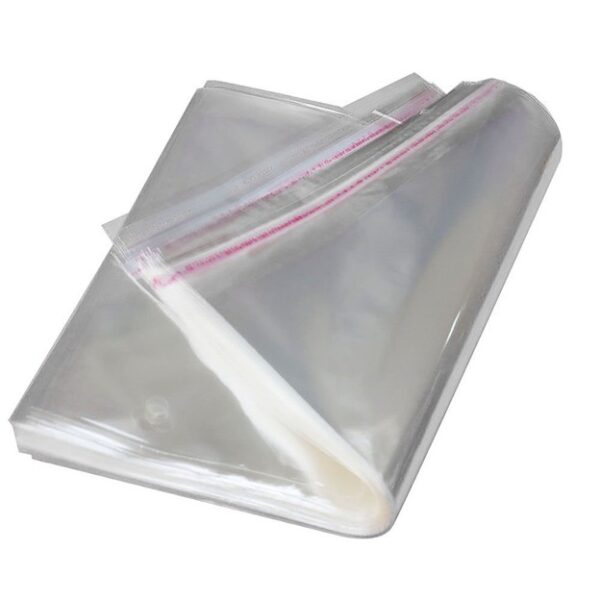 Zipper Sealed Bags 9 x 12 - Case of 1000